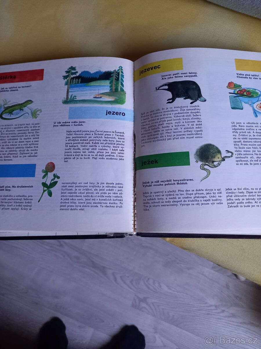 Dětská encyklopedie, Bohumil Říha, Jiří Kalousek - 2