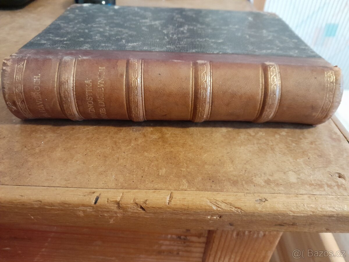 Kniha starožitná DIAGNOSTIKA CHOROB DUŠEVNÍCH 1904 - 2