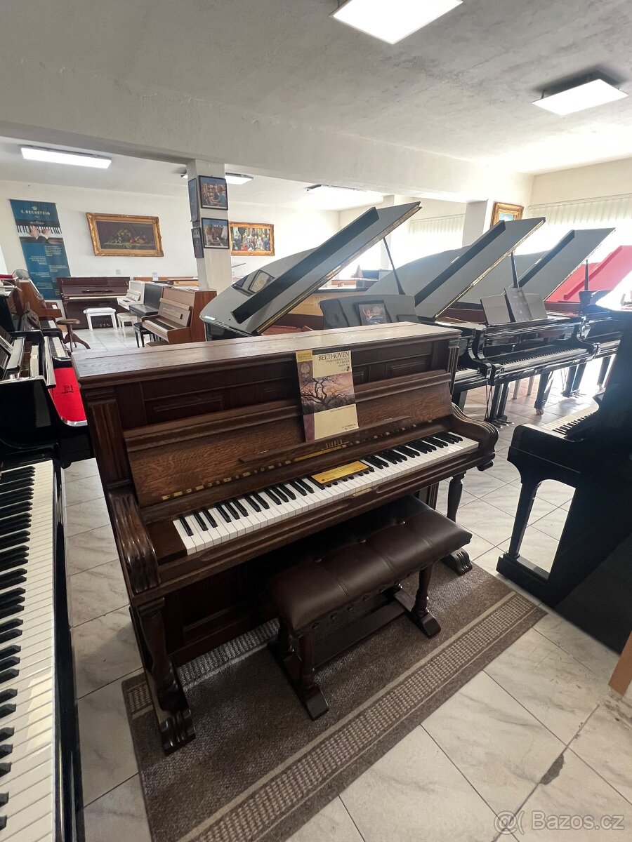 Holandské piano Rippen se zárukou 5 let. Doprava zdarma - 2