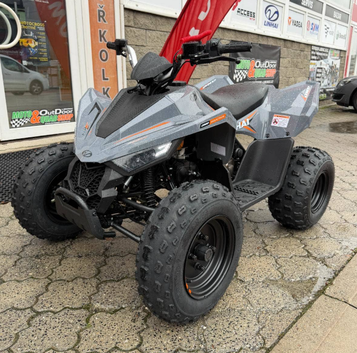 Linhai Dětská čtyřkolka ATV 110 Junior - 2