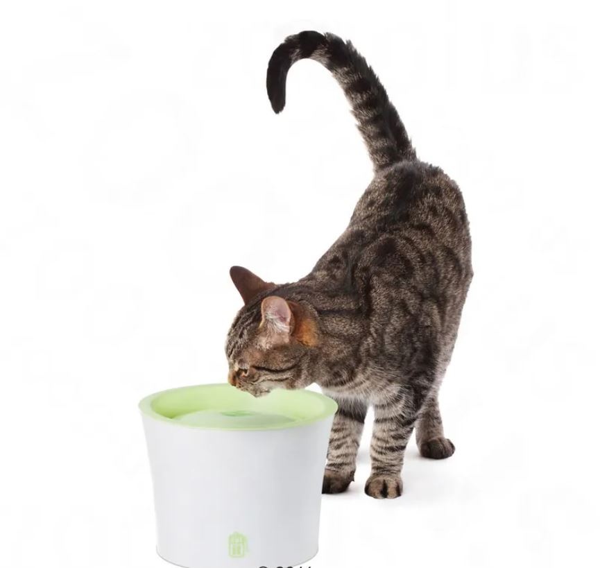 Fontánka na pití pro psy a kočky velká 3l - 2