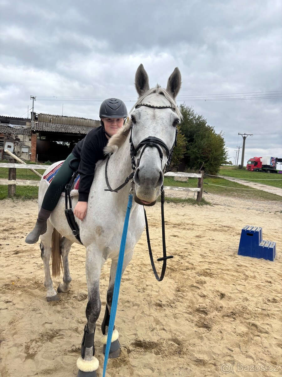 Poloviční pronájem - 2