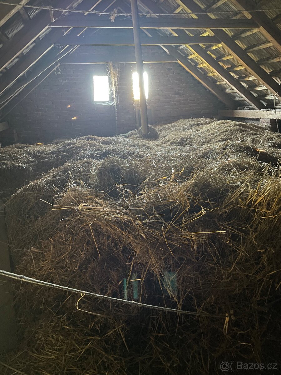 Seno/sláma z pudy - 2