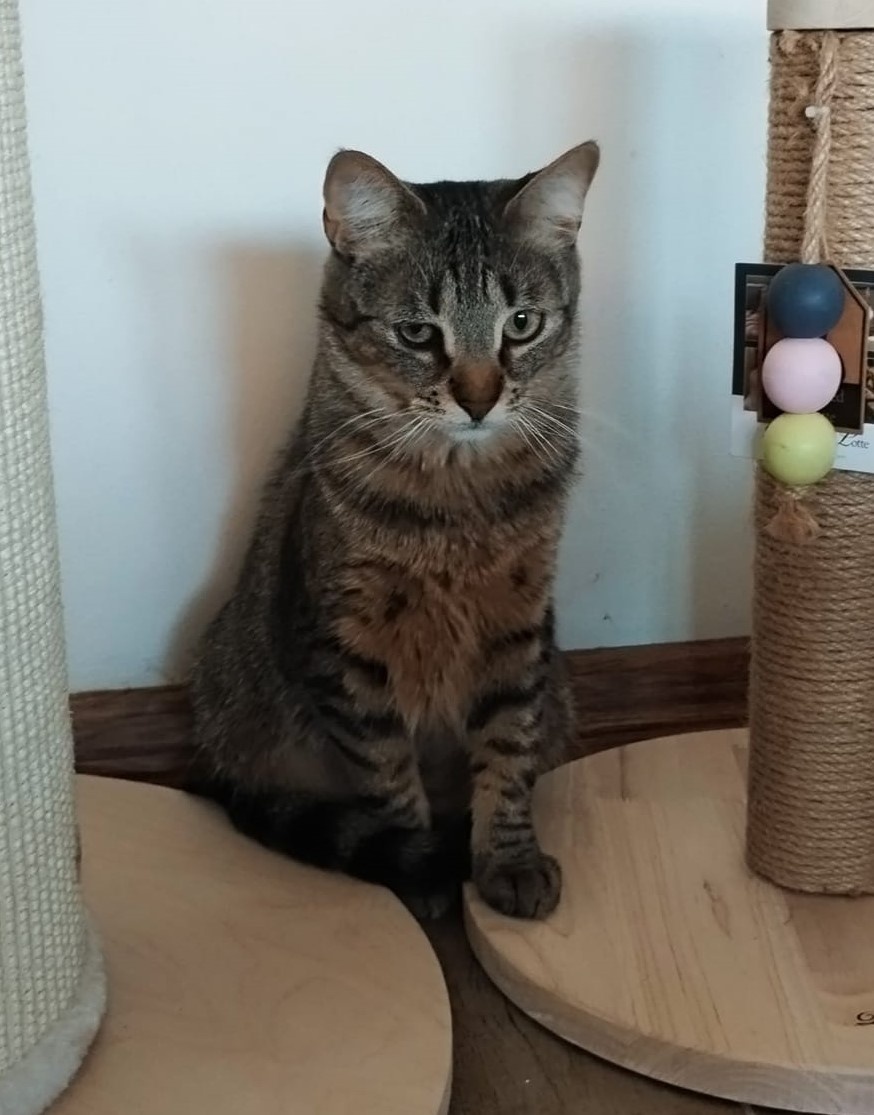 💔 Luky – kluk, který přežil všechno 💔 - 2