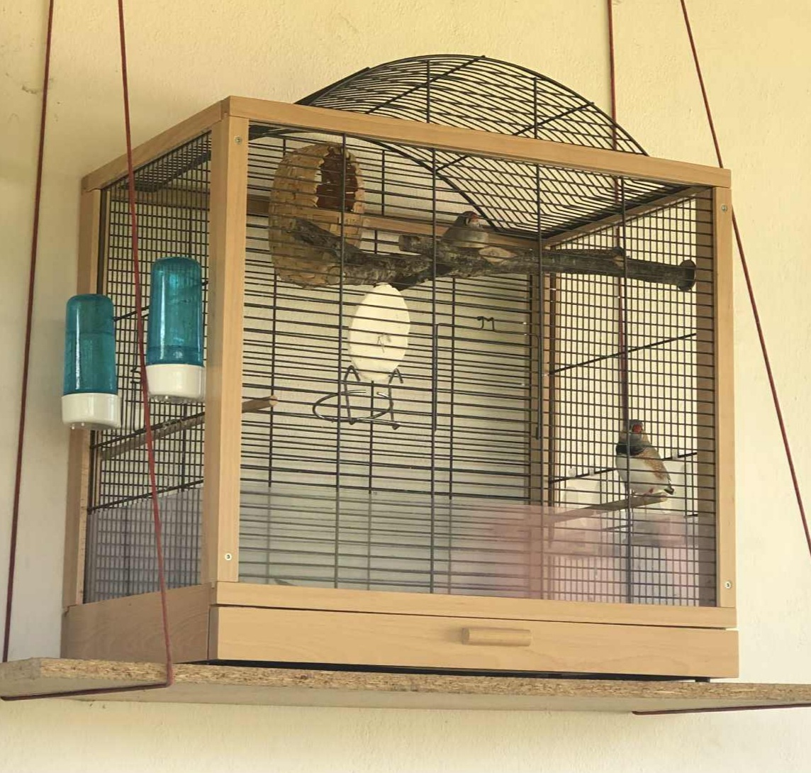 Klec pro ptáčky - 2