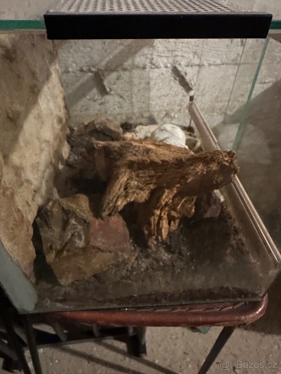 Paludarim/terarium - 2