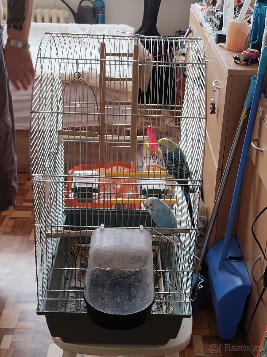 Prodám papoušky včetně klece - 2