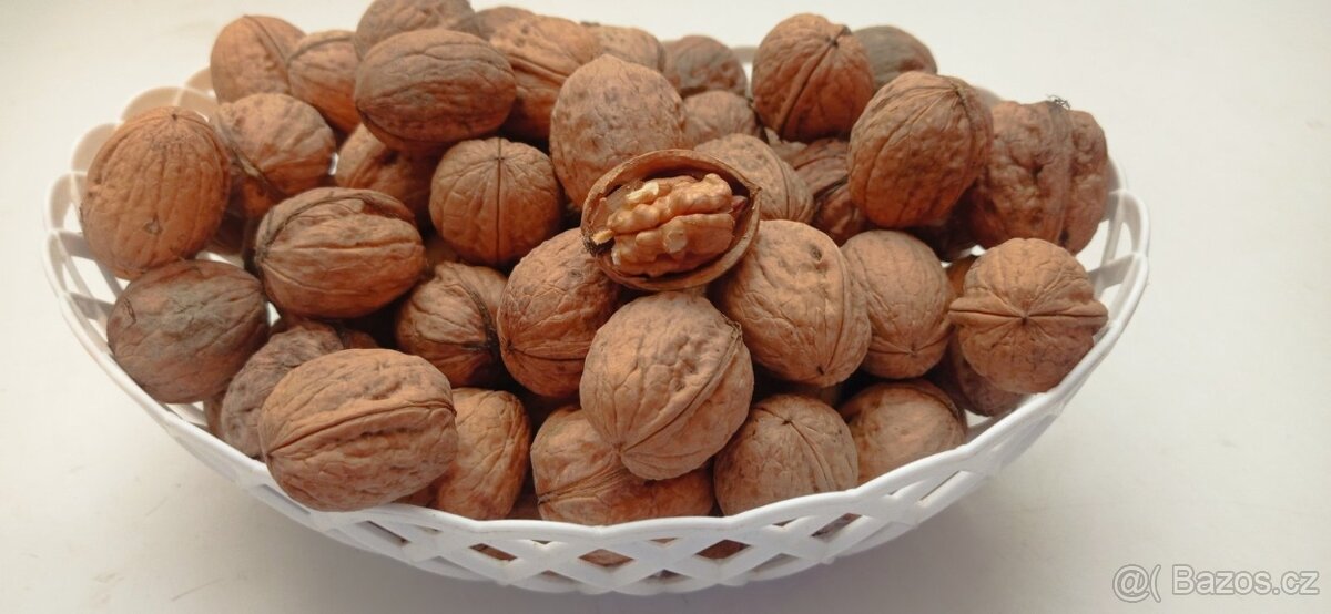 Vlašské ořechy - 2