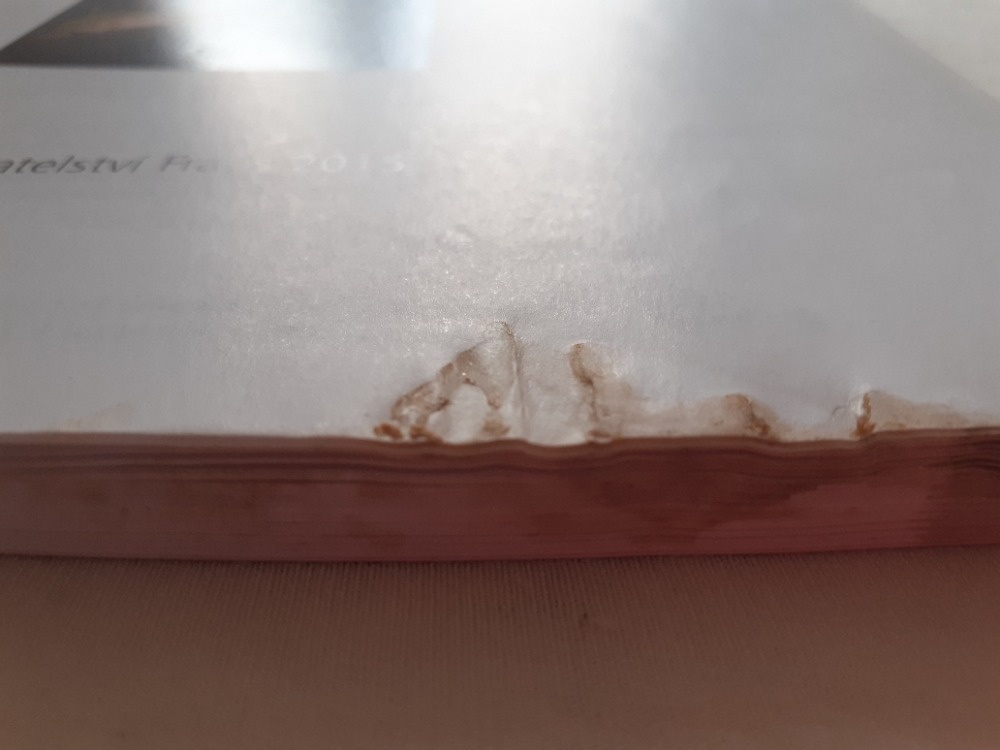 Dějepis Fraus 7 - 2