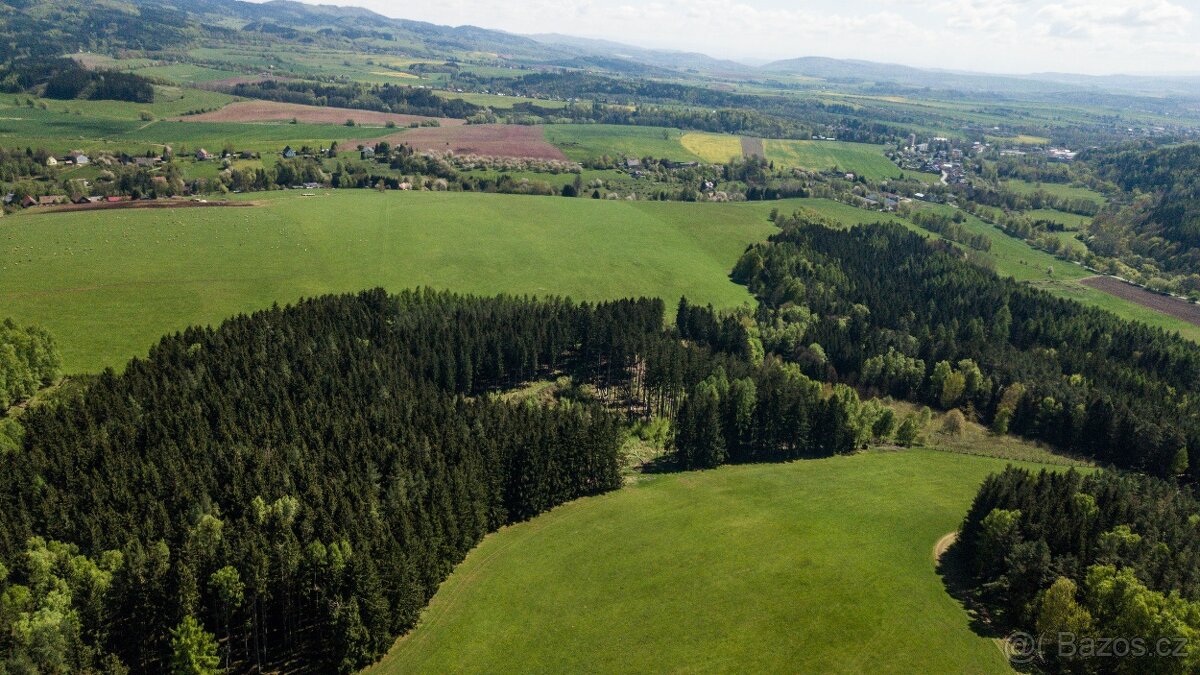Prodej lesa 20336 m² – Heřmánkovice - 2