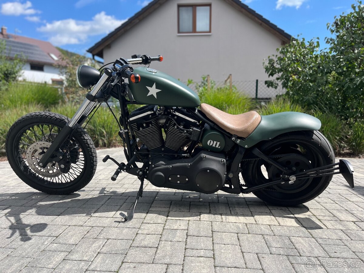 Unikátní stavba Harley Davidson fxstc Softail Custom - 2