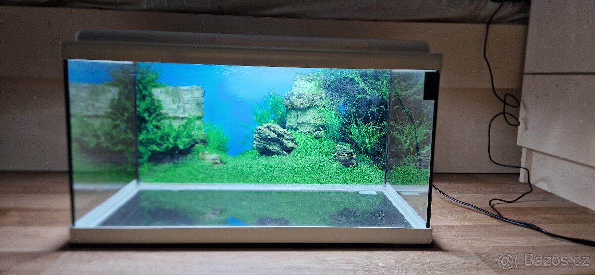 Akvárium Aquatlantis Advance 60l s osvětlením - 2