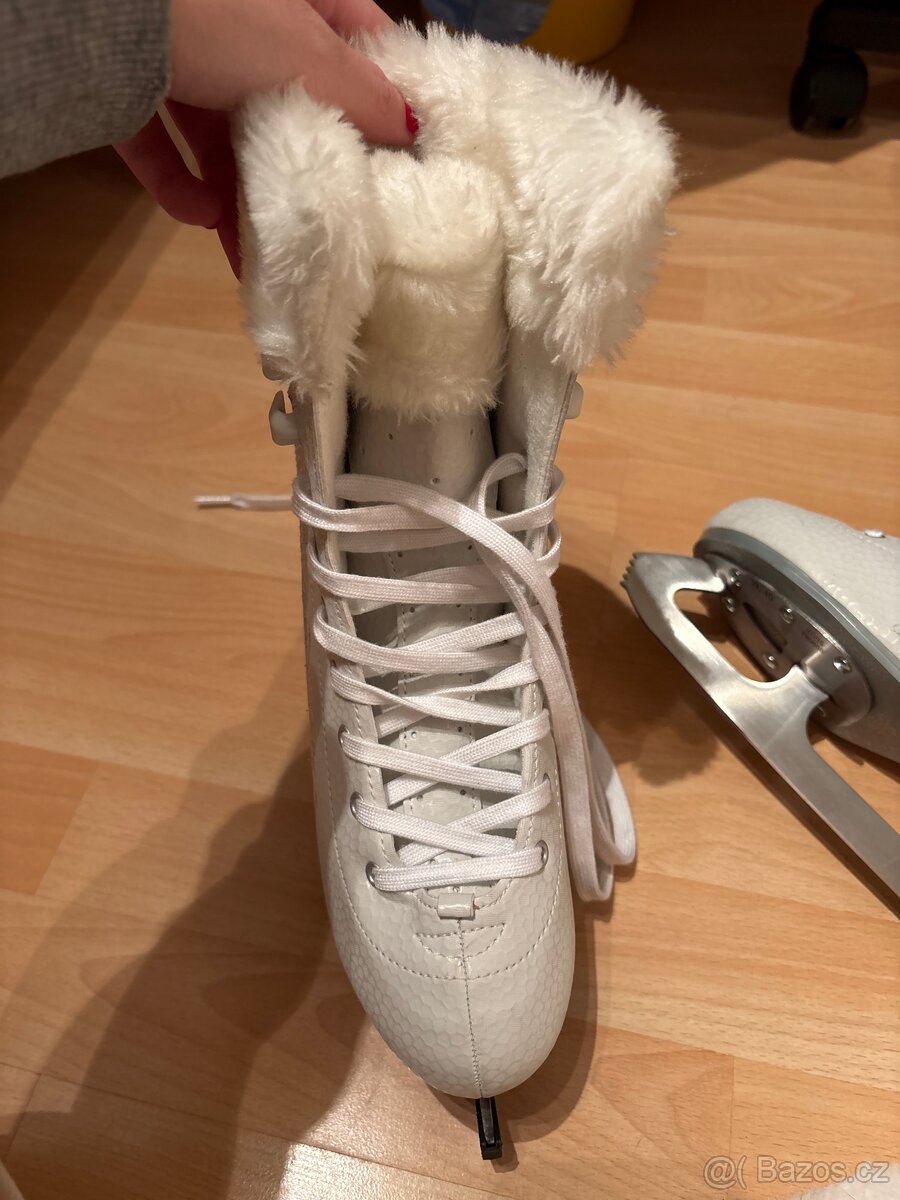 brusle zimní - 2