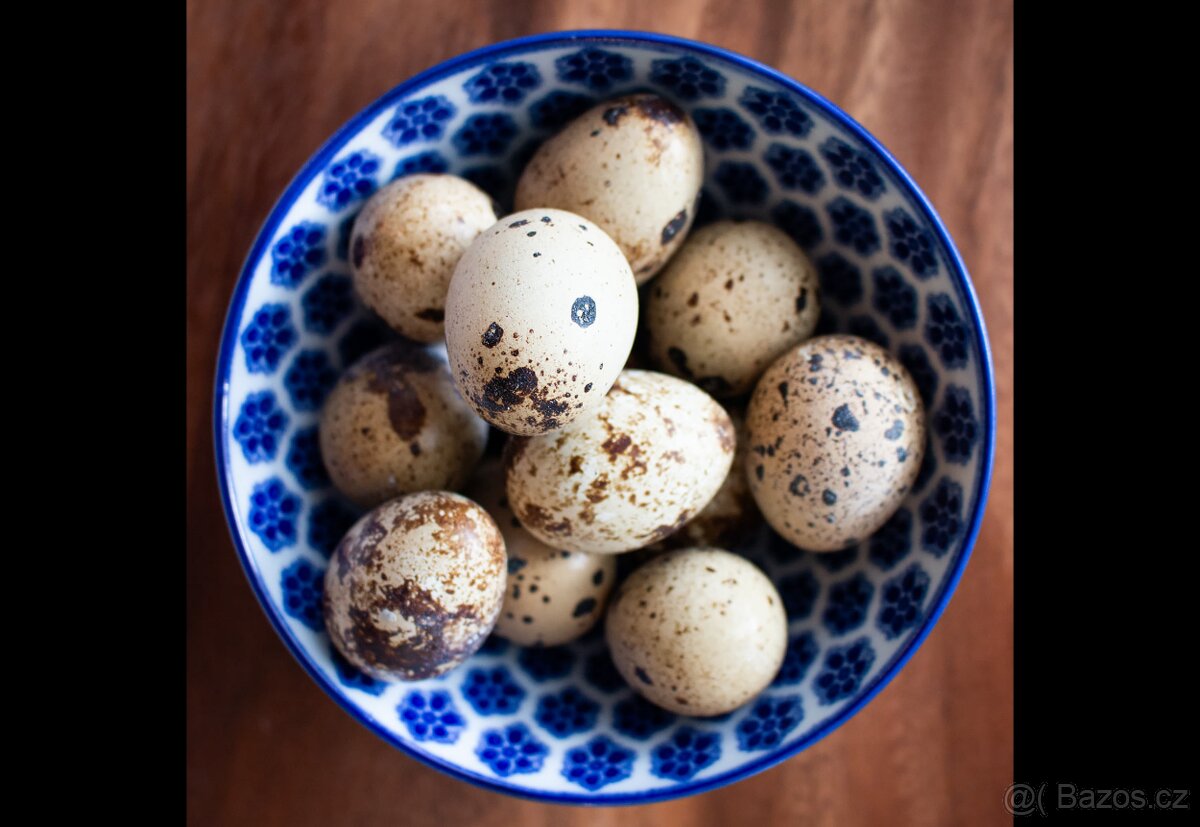 Křepelčí vejce - 2
