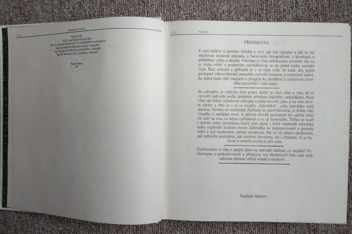 Moderní zahrada - 2