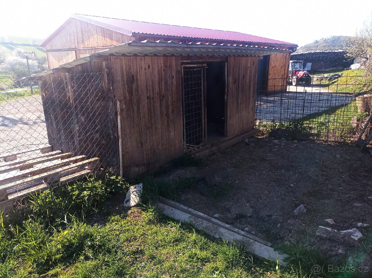 Psí bouda - kotec - 2