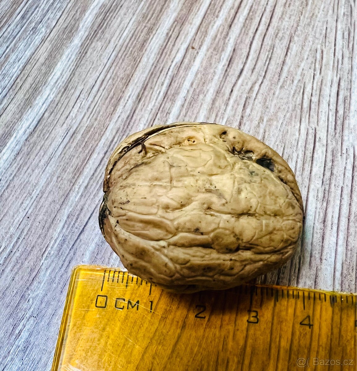 Vlašské ořechy(papírák) - 2