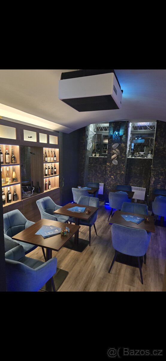 Pronájem Restaurace Vinohrady - 2