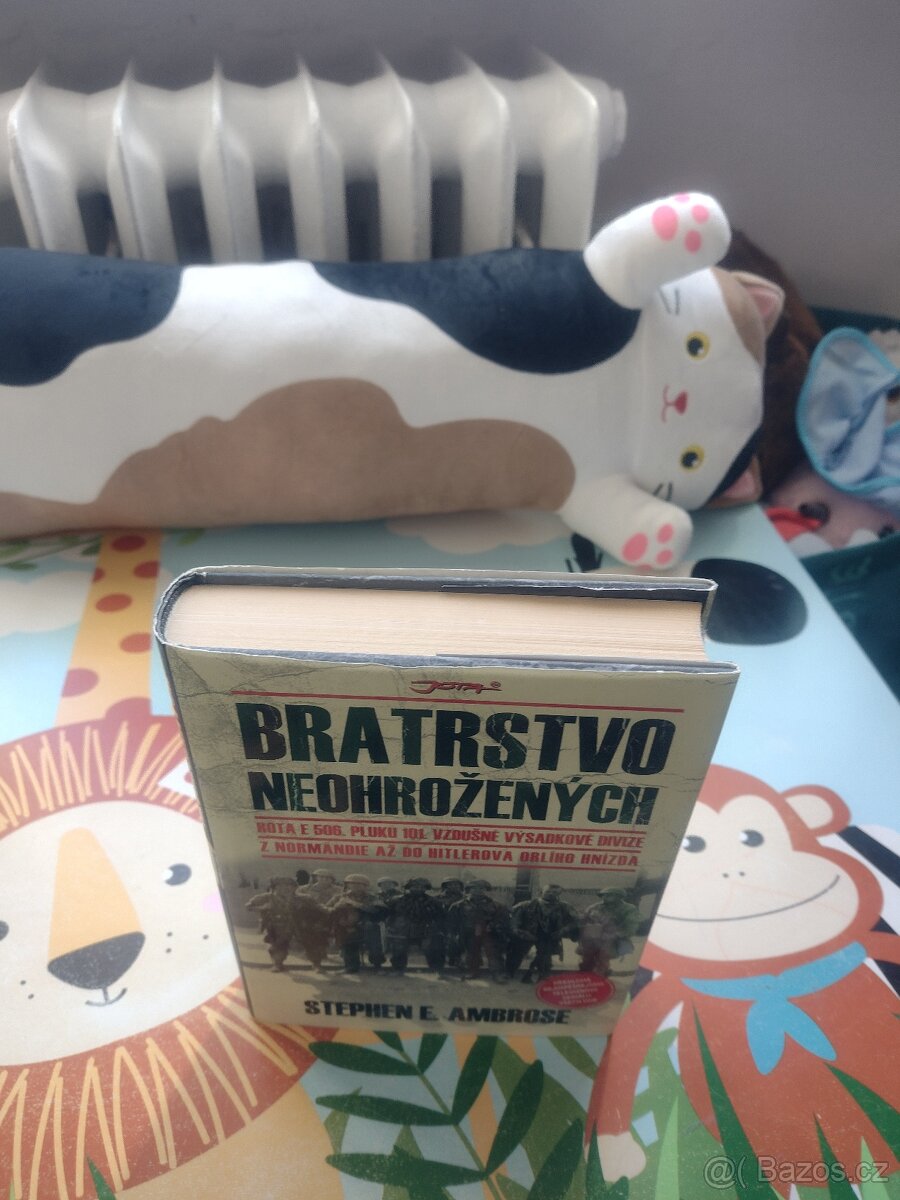Kniha Bratrsvto neohrožených - 2