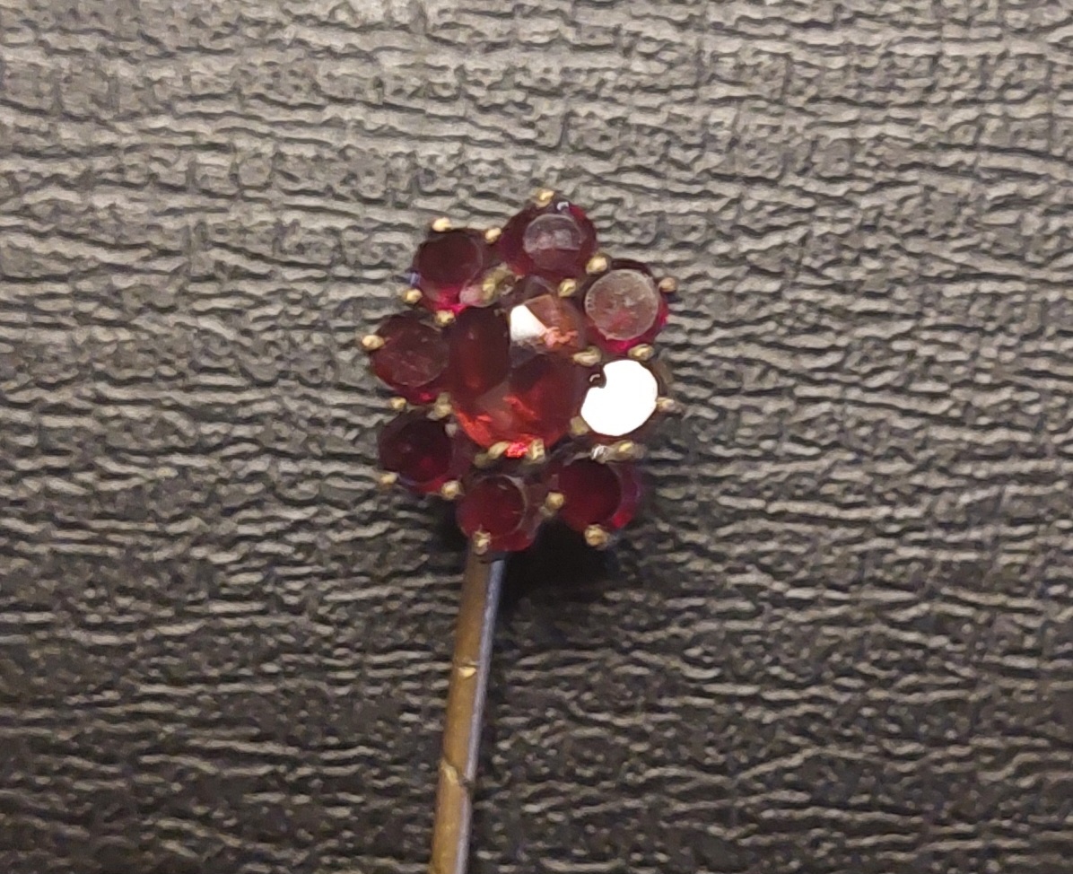 Jehlice České granáty. - 2