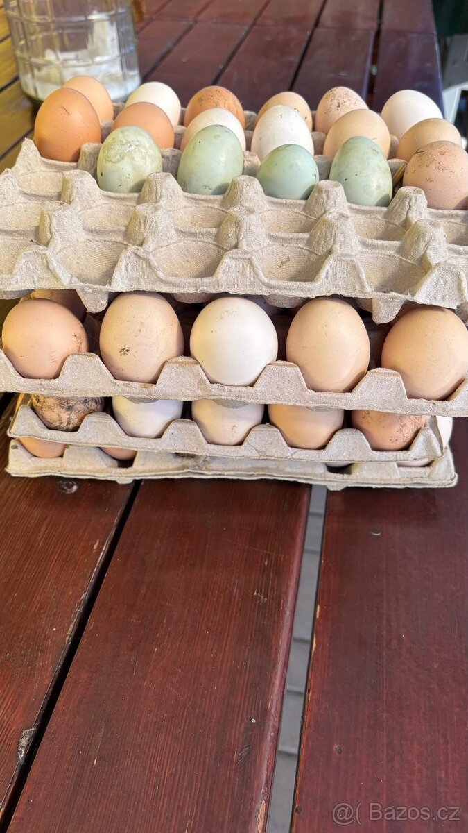 Domácí vejce - 2