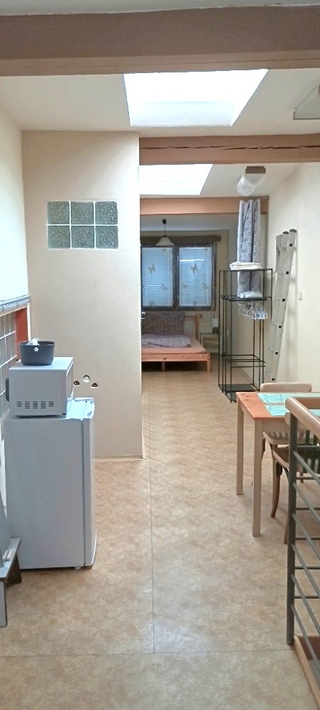 Loftový byt 30 m2, student/st. pár. pračka, RD, okolí centra - 2