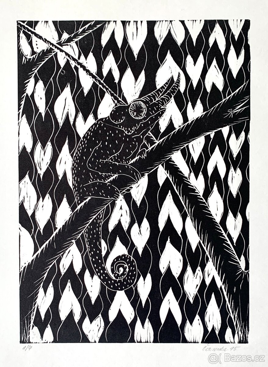 Autorská grafika - Chameleon - 2