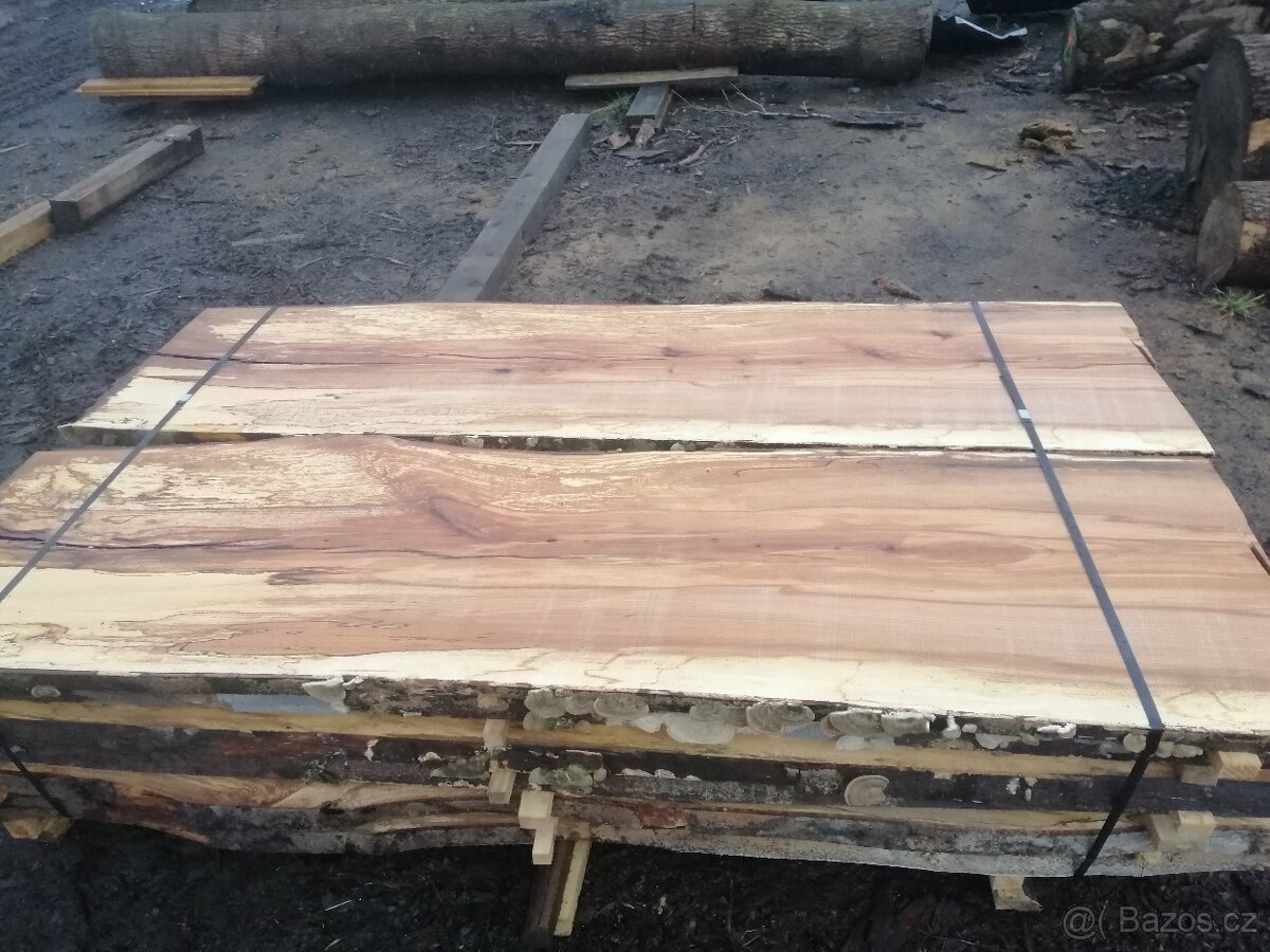 Porez kratkych kmenu - 2