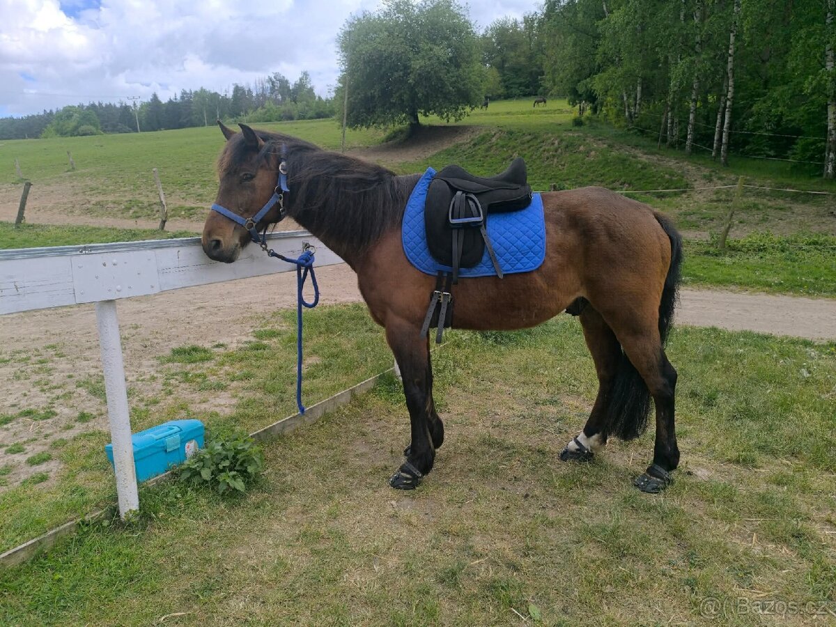 Orx scarlet vel.1 - 2