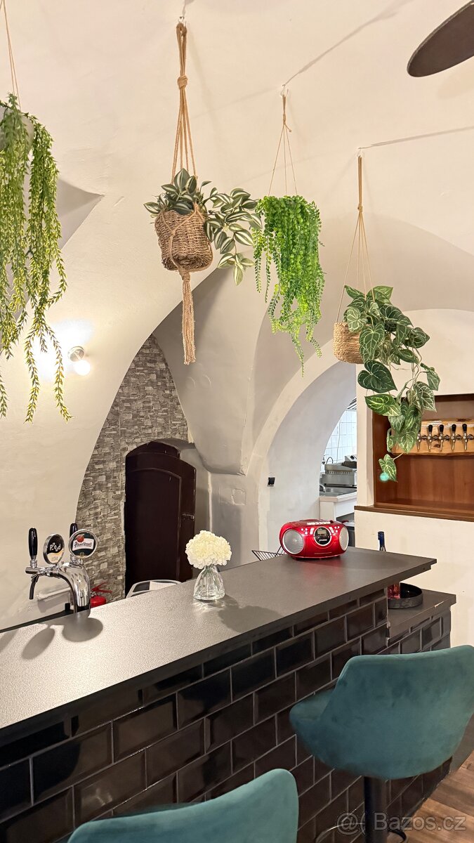 Přenechání baru/bistra - 2