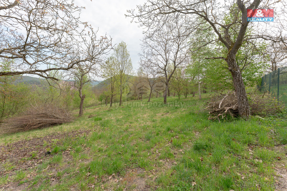 Prodej ovocného sadu, 3977 m², Předklášteří - 2