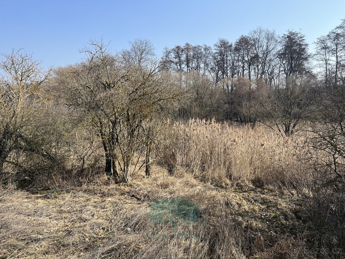 Prodej pozemky - trvalý travní porost, 698 m2 - Praha - Král - 2