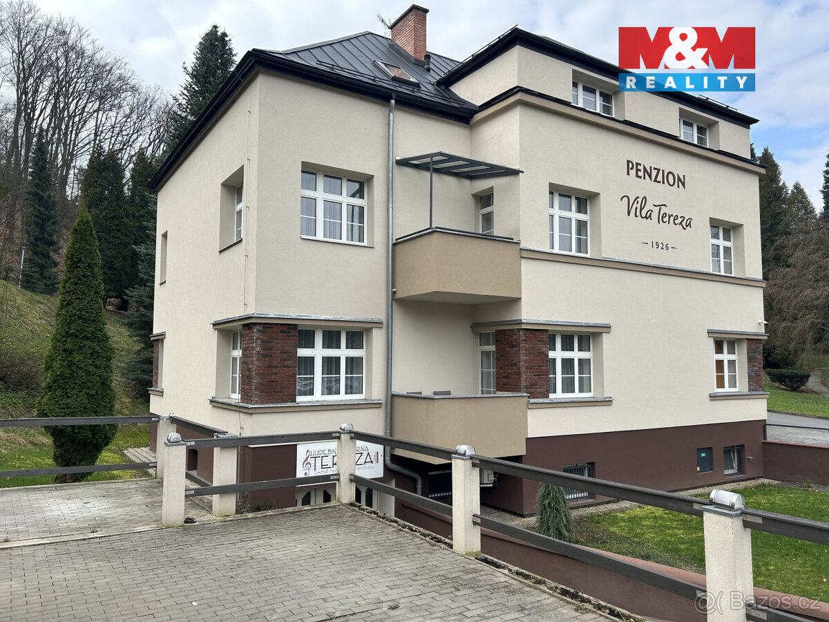 Pronájem restaurace, 120 m², Hranice, Tř. generála Svobody - 2