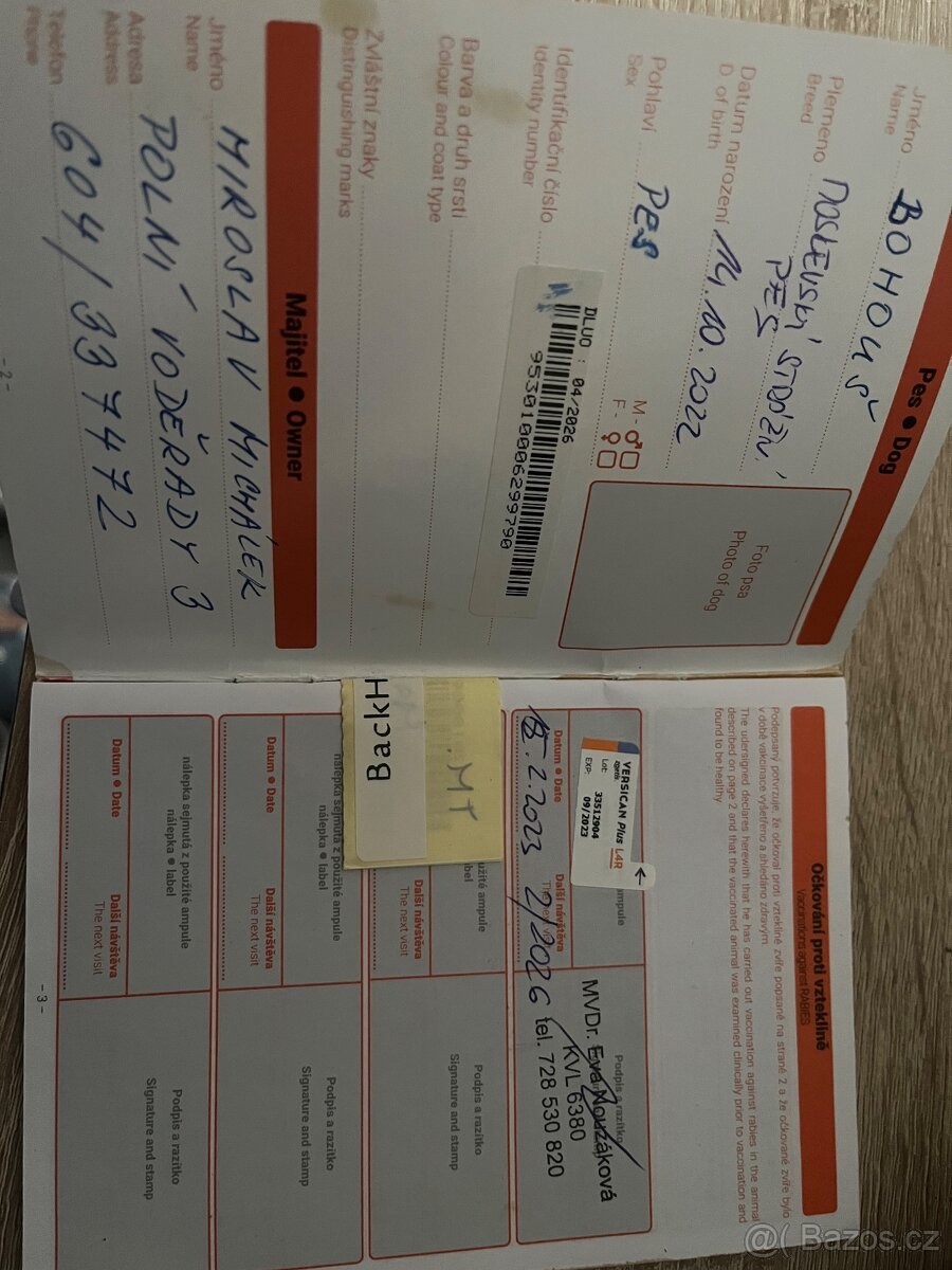 Moskevský strážní pes - 2