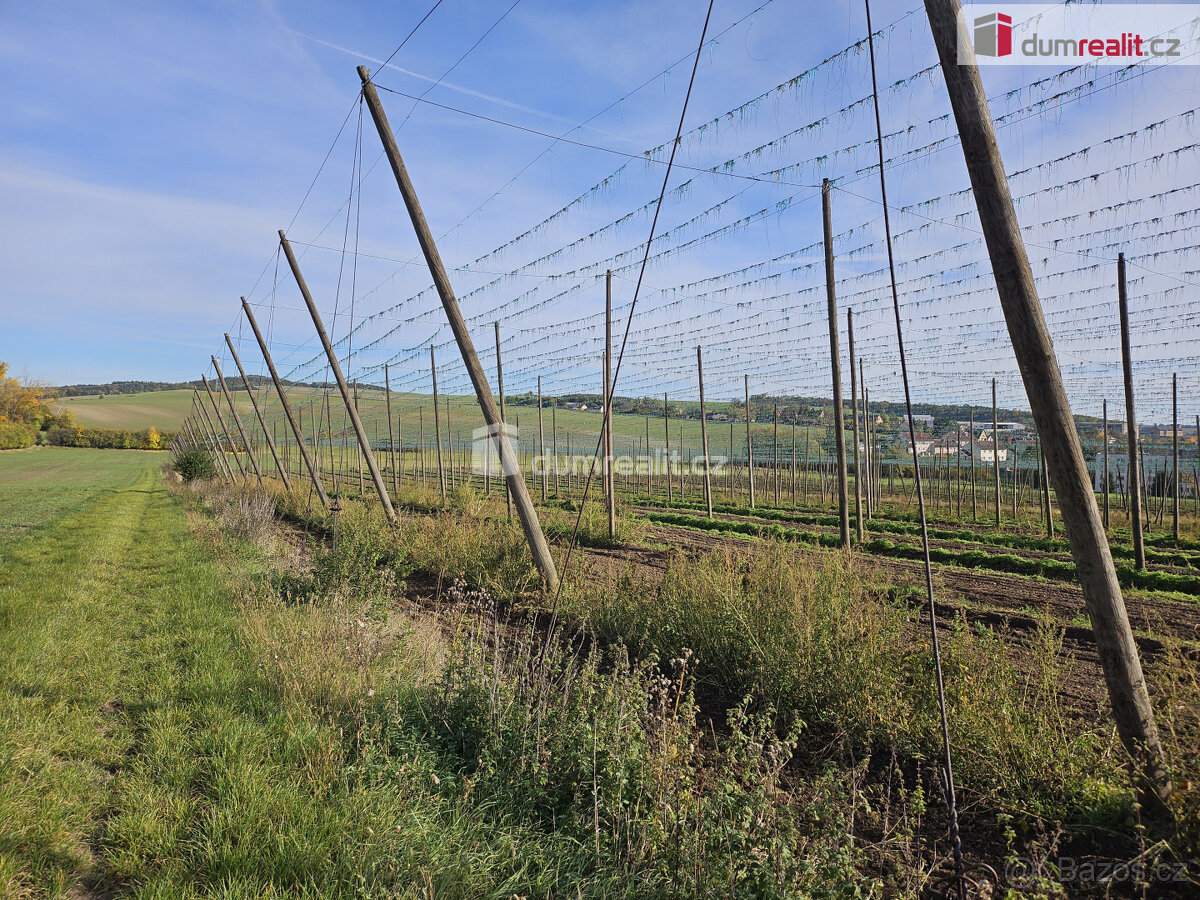 prodej pole a chmelnice Trnobrany - 2