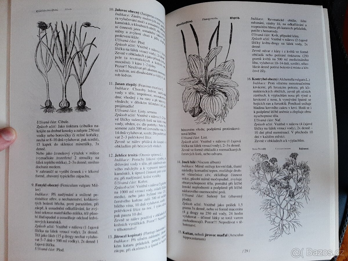 Rodinný lékař aneb jak nahradit léky - 2