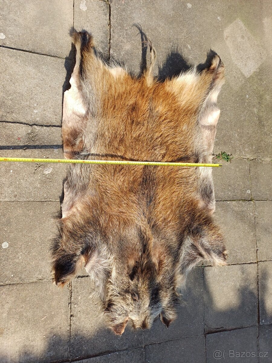 Vyčiněná kůže - 2