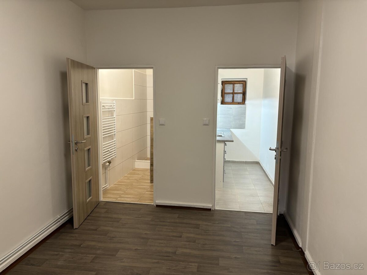 Pronájem prostoru v centru České Lípy - 2