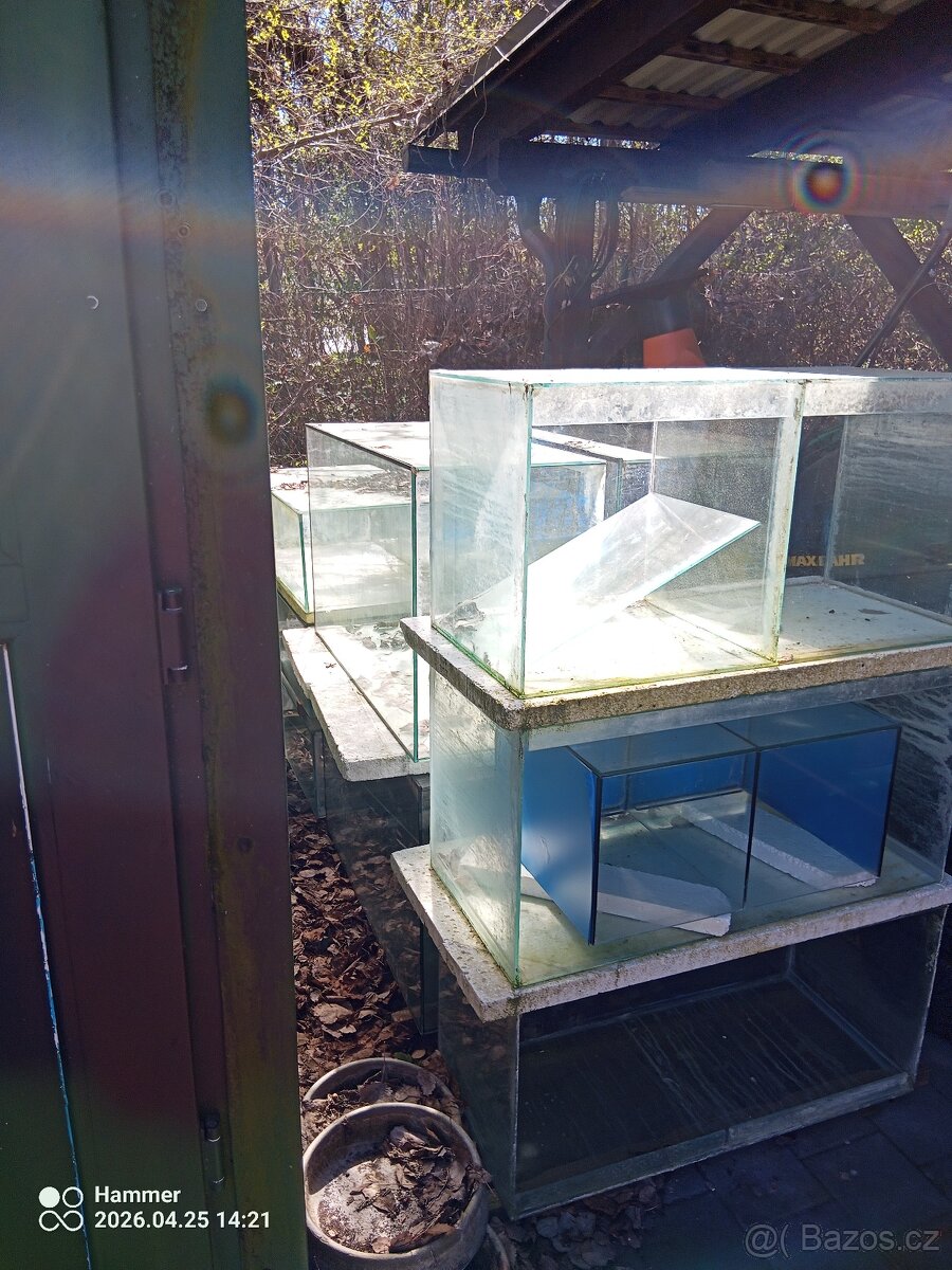 Akvária k prodeji - 2