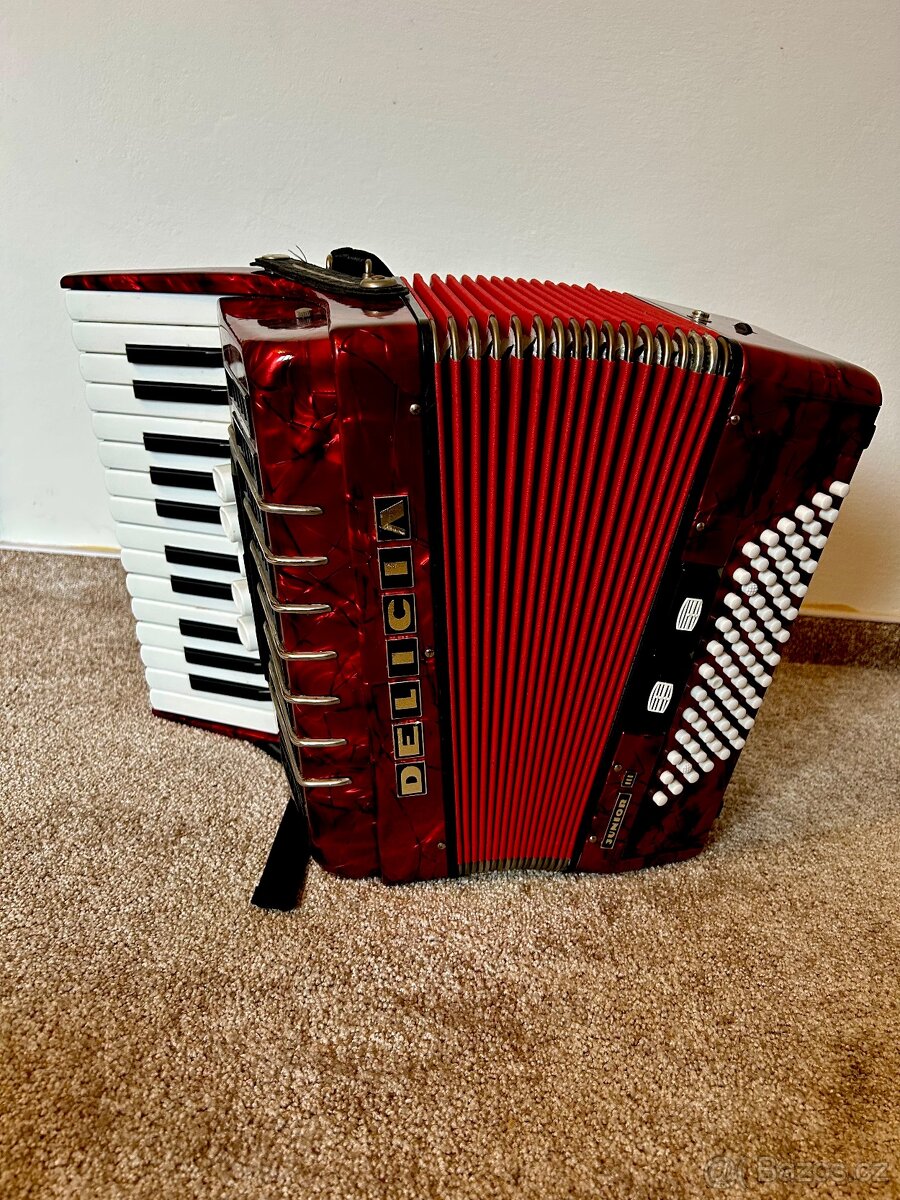 Akordeon- Delicia Junior III - 2