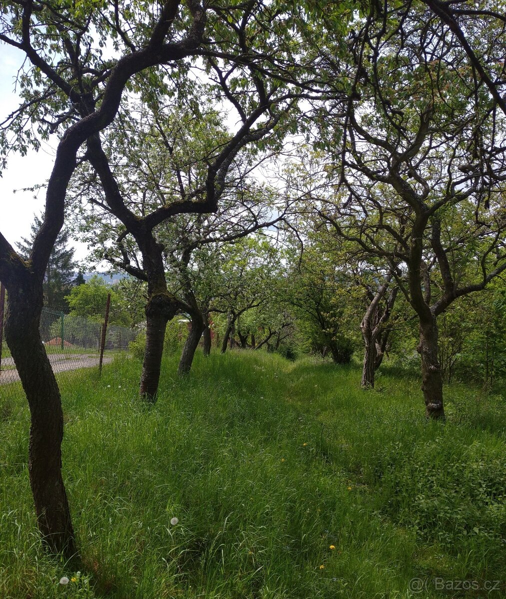 Pronájem zahrady, Brno - Kr. Pole - 2