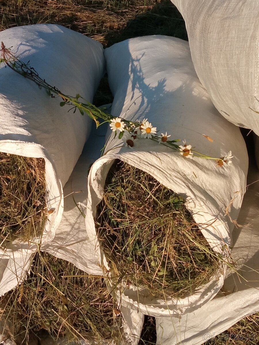 Seno luční 2025 ručně sušené - 2