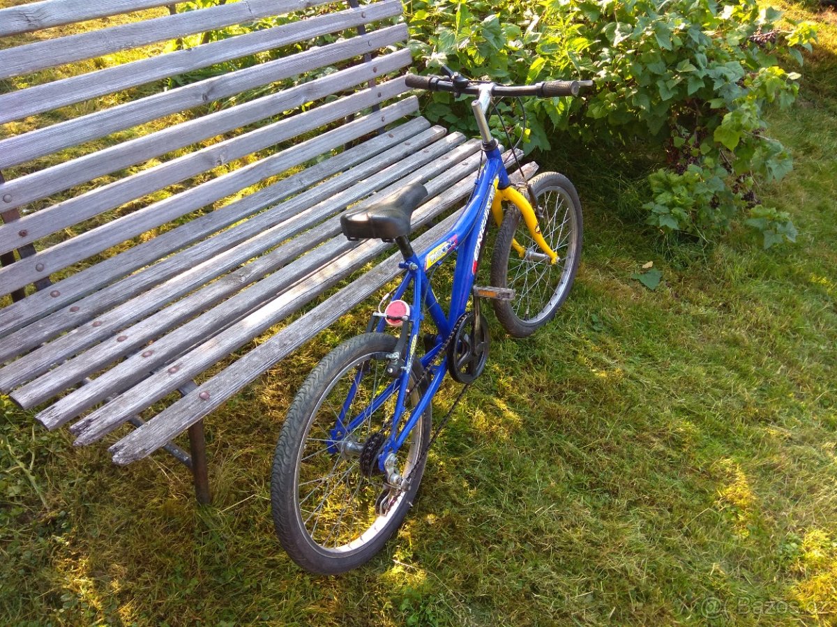 Dětské kolo Panda - 2