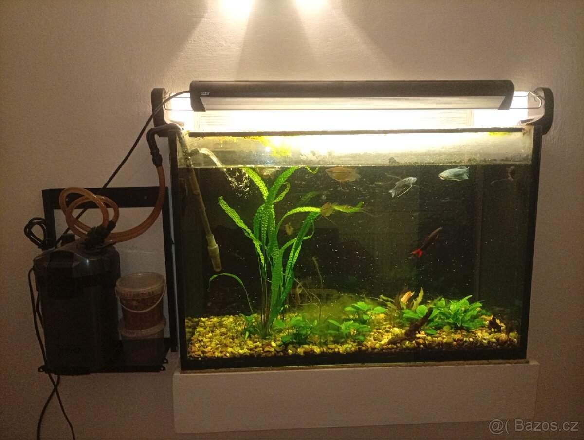 Akvarium - 2
