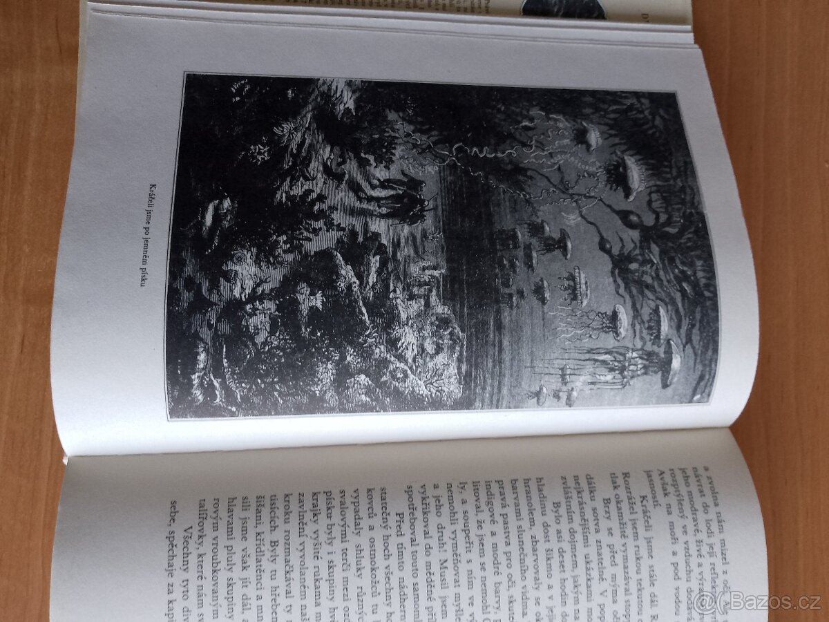 Romány Julese Verna - 2