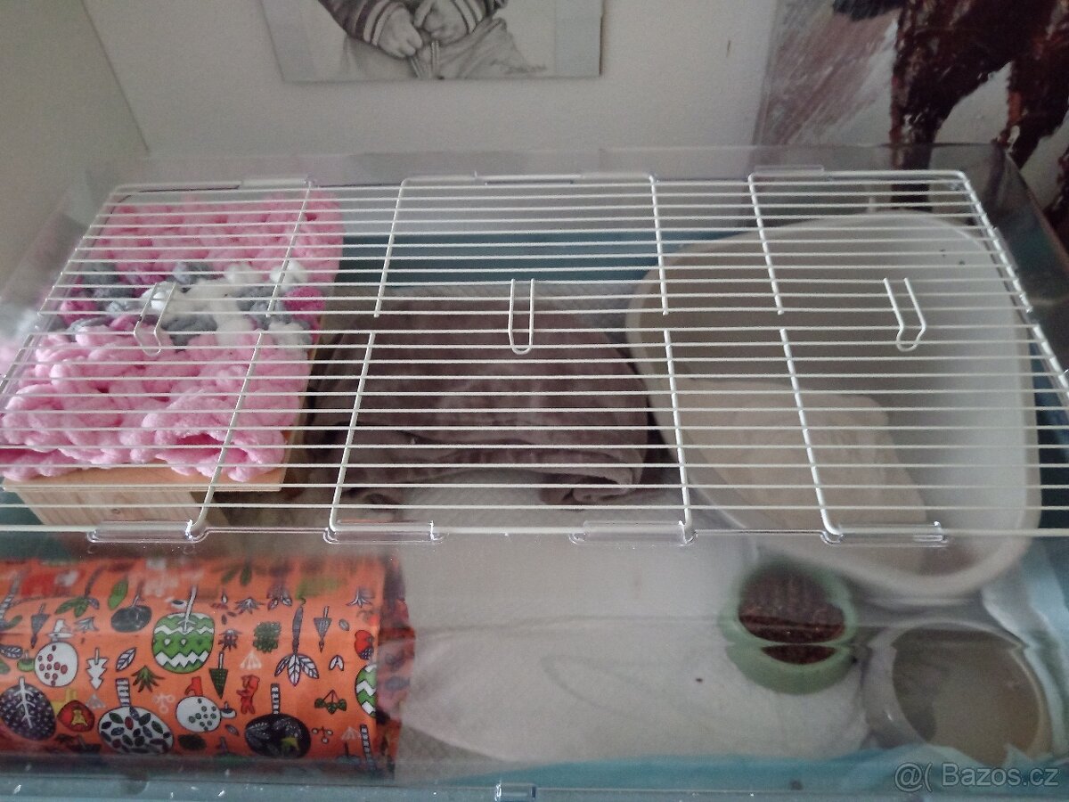 Box na mensi zvířátko - 2