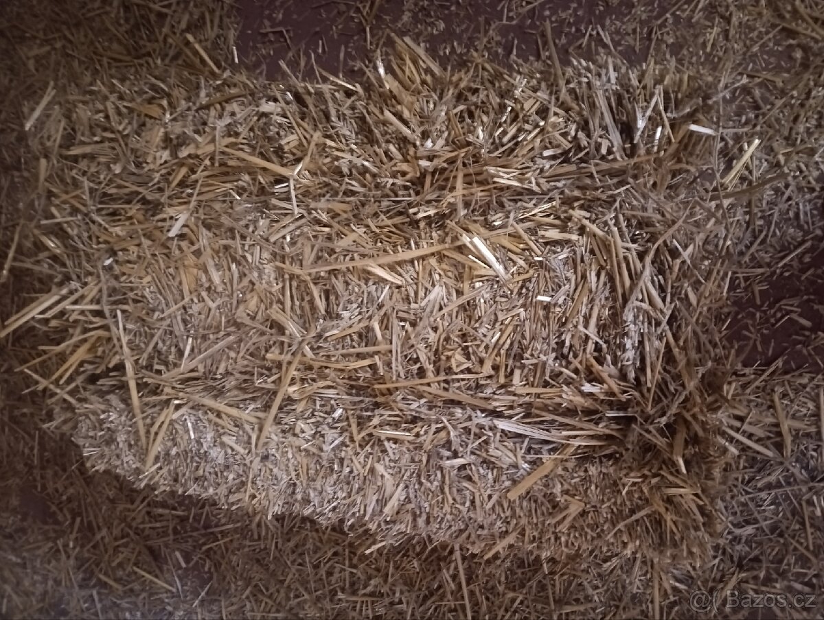 Sláma - 2
