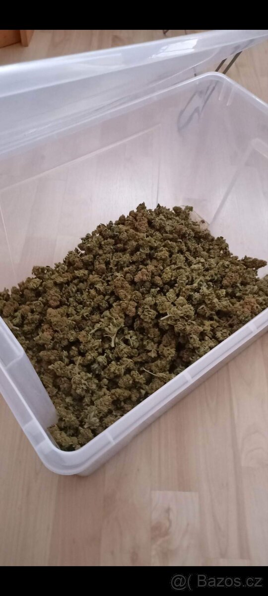 Cbd / technické konopí - 2