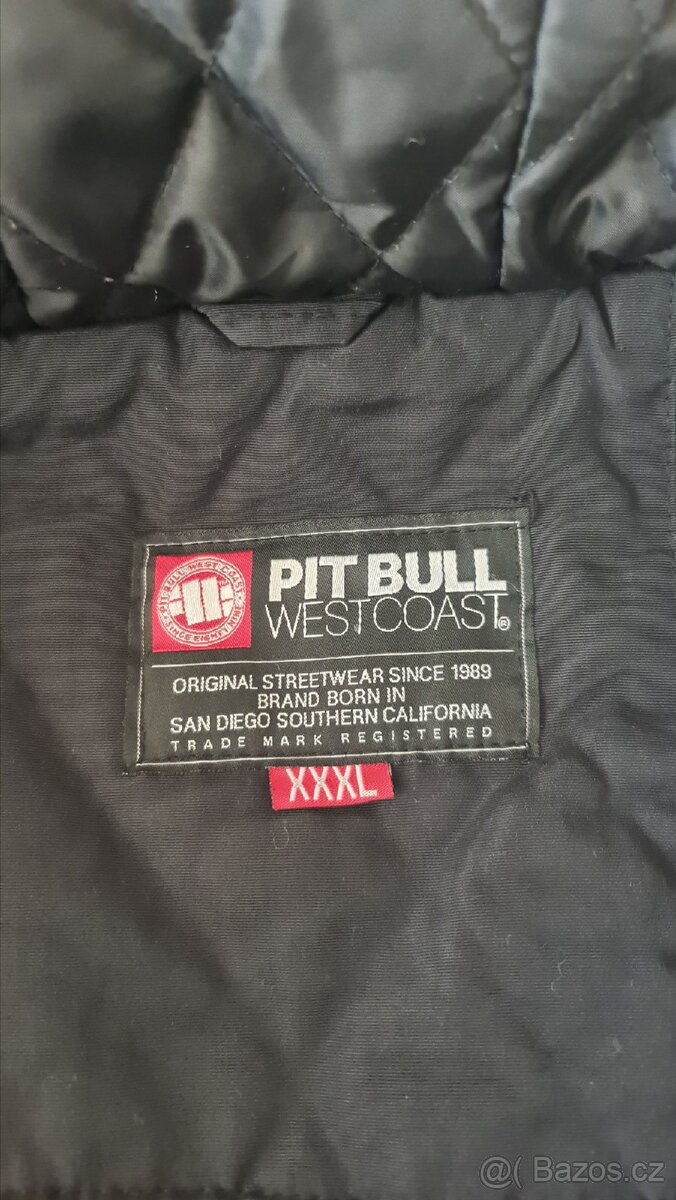 Pitbull bunda - 2