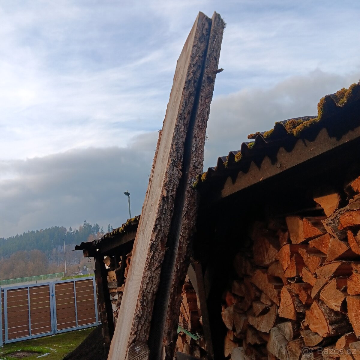 fošny z olše - 2